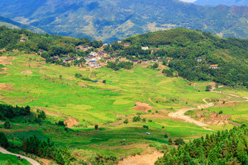 The mountains paddy fields
