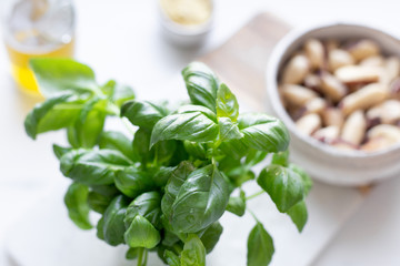 Pesto Ingredients  on White marble Background