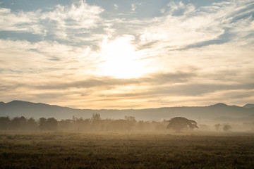 Forest during the rainy season on the mountains of northern Thailand