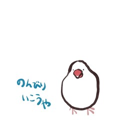 正面を向いて座っている文鳥