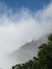 Fototapeta premium 南アルプス市 風景