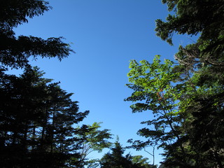 南アルプス市　風景