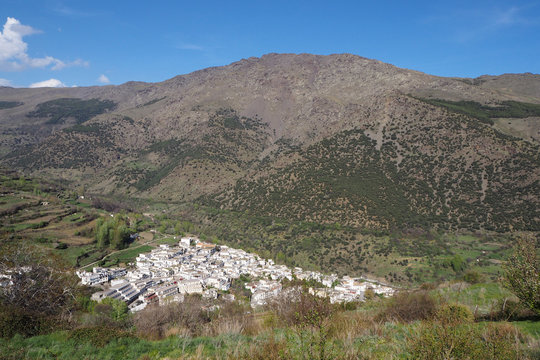 The mountain landscape with the slope covered by green trees and shrubs, the far village with white houses in the beautiful valley on the sunny spring day.