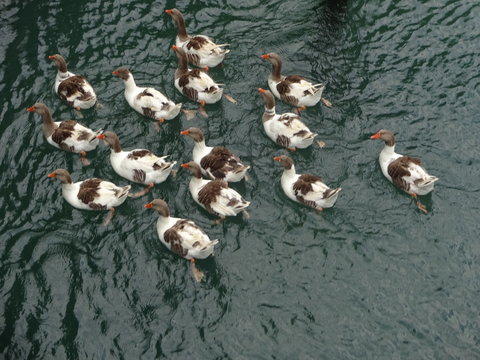 Georgioupolis - resort town in Greece