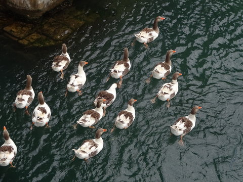 Georgioupolis - resort town in Greece
