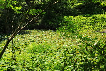 
 弥生の森歴史公園 