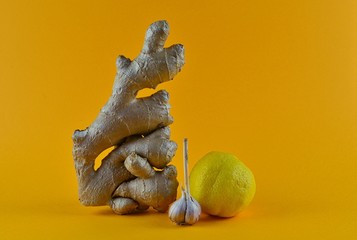 Large piece of fresh Root Ginger, garlic and lemon on a yellow background. Fresh organic ginger