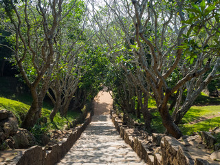 Fototapeta premium SRI LANKA