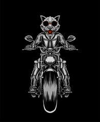 cat ridding on motorcyle