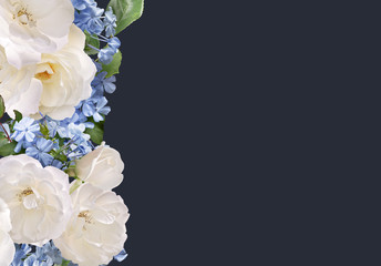 Floral banner, header with copy space. White roses and light blue plumbago isolated on dark background. Natural flowers wallpaper or greeting card.