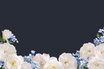 Floral banner, header with copy space. White roses and light blue plumbago isolated on dark...