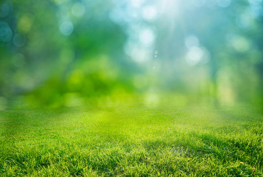 natural grass background with blurred bokeh and sun © andreusK