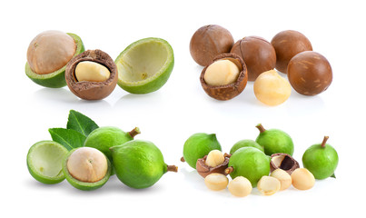 macadamia nuts isolated on white