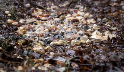 Trickles of water from the melting snow falling with splashes on the fine gravel. Spring streams. Off-season. Close up. Selective focus.