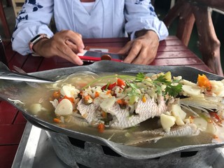 A diverse collection of delicious food items