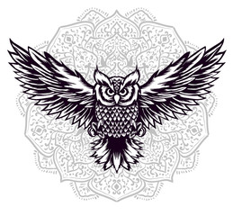 Obraz premium Owl bird vector illustration art