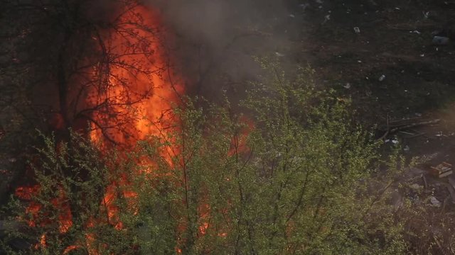 fire smoke of bush fire near houses, view from the apartment window