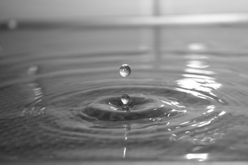 Fototapeta na wymiar drop of water
