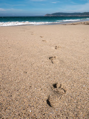 Close-up of footprints in the sand on the beach of Praia do Rostro in Galicia, Spain near Finisterre and Way of Saint James