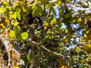 SRI LANKA