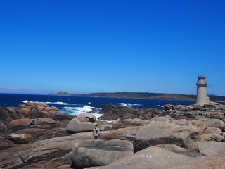 A woman standing in front of the sea, Camino de Santiago, Way of St. James, Journey from Dumbria to Muxia, Fisterra-Muxia way, Spain