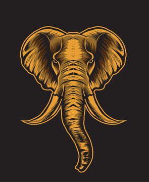 Adult elephant head on black background-vector