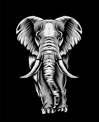 Adult elephant full body vector illustration art
