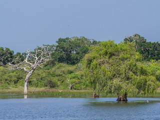SRI LANKA