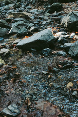 Rock way background, rough trail floor