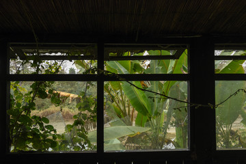 Old abandoned tourist resort in the jungle of Chitwan national park, Nepal