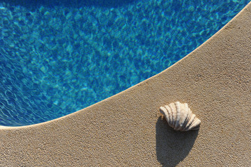 Clam shell on poolside, high angle view