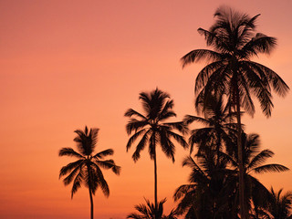 Fototapeta na wymiar SRI LANKA