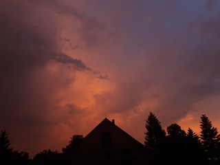 Silhouettes of trees against the backdrop of sunset - Poland, Oborniki 