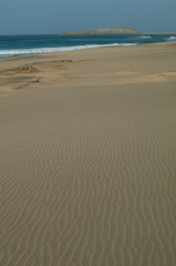 Fototapeta na wymiar Beach of Cofete in Jandia. Jandia Natural Park. Fuerteventura. Canary Islands. Spain.