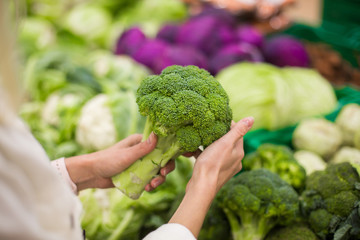 Woman are selecting fresh broccoli in grocery farm- market