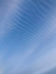 Beautiful blue sky with feather clouds for the background