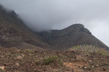 Landscape covered by fog in the Jandia Natural Park.