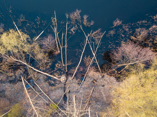 A small island near the shore. Dense deciduous trees are tilted into the water. Spring clear evening. Aerial drone view.