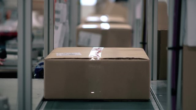 Parcels in a cardboard box moves along the packaging line in a warehouse. Parcels move alone on the conveyor. Automation of online shipping logistics