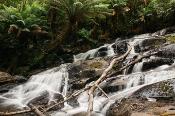 Fototapeta premium Waterfall in an Australian national park
