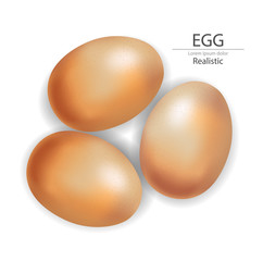 Eggs set vector realistic