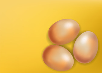 Eggs set vector realistic yellow background