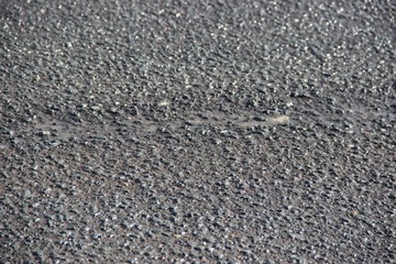 природа, архитектор природа