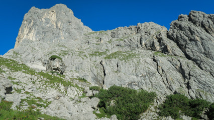 Rocky mountain slope covered with grass in the Alps