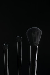 brushes for a make-up