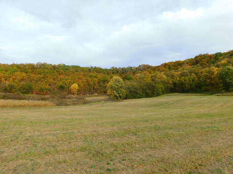Autumun