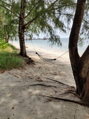 Hamac entre deux arbres sur une plage paradisiaque