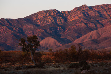 Red rocks in sunset light