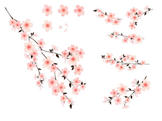 Isolate with branches of cherry blossoms. Botanical ornament for fabric. Design for cards and Wallpapers.