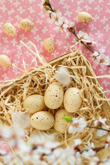 Naklejka na ściany i meble Easter eggs in the nest on beautiful background